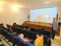 DON KIŞOT - Kaş'ta '10 Gün 10 Film'