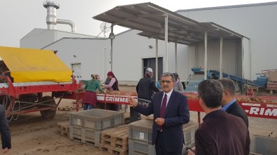 Konya Şeker Bir Tesis Yaptı Konya'da Patates Üretimi 3'E Katlandı
