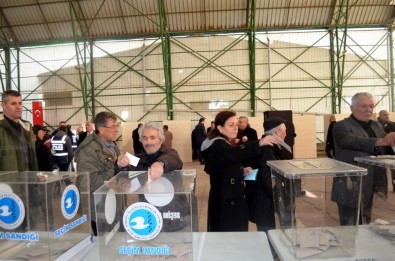 Mudanya Zeytin Kooperatifi Yıldız'ı Yeniden Başkan Seçti