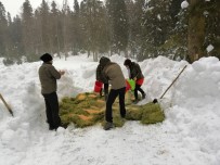 KAR KALINLIĞI - Kar Kalınlığının 1 Metreyi Geçtiği Bölgelere Yem Bıraktılar