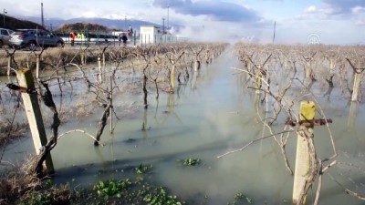Manisa'da 30 Dönüm Bağ Sıcak Su Altında Kaldı