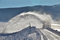 KAR KALINLIĞI - Doğu'nun 'Kar Panterleri' Arı Gibi