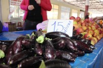 GÜNEŞLI - Patlıcan, Üretim Merkezi Antalya'da 15 TL