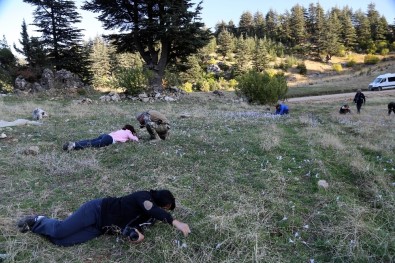 Adana'daki 470 Çeşit Endemik Bitki 15 Yıl Süren Emekle Kitaplaştırıldı