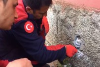 KÜRKÇÜLER - Duvardaki Oyuğa Sıkışan Kedi Böyle Kurtarıldı