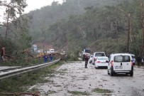 TRAFİK MÜDÜRLÜĞÜ - Kemer'de Hortum Sebebiyle Devrilen Çam Ağaçları Karayolunu Trafiğe Kapattı