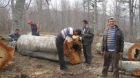 OKSIJEN - OGM Açıklaması '7 Milyon Kişi Orman Köyünde Yaşıyor'