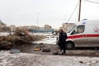 ŞİDDETLİ RÜZGAR - Rüzgarın Devirdiği Ağacın Altında Kalan Şahıs Hayatını Kaybetti