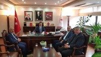 FATİN RÜŞTÜ ZORLU - Ziraat Odası Başkanları Çiftçinin Sorunlarını Görüştü