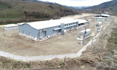 Fatsa Mezbaha Ve Hayvan Pazarı'nda Sona Gelindi