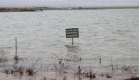 HASANCıK - 'Ölü Hacimli' Barajlar Canlandı