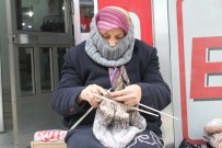 19 Dairesi, 9 Otomobili Vardı Şimdi Bir Odaya Muhtaç