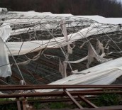 Alanya'da Hortum Seralara Zarar Verdi