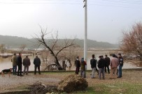 Antalya'da Şiddetli Yağmur Tarım Alanlarını Sular Altında Bıraktı