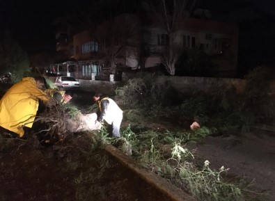 Aydın'da Büyükşehir Ekipleri Fırtına Mesaisi Yaptı