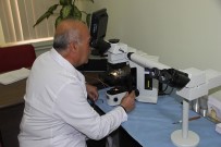 SIVAS CUMHURIYET ÜNIVERSITESI - Cüzzam Artık Öldürmüyor