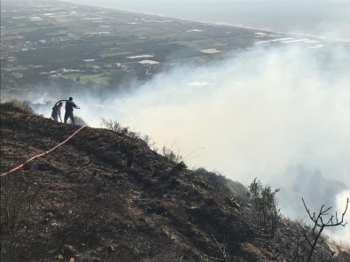 Hatay'da Bitki Örtüsü Yangını