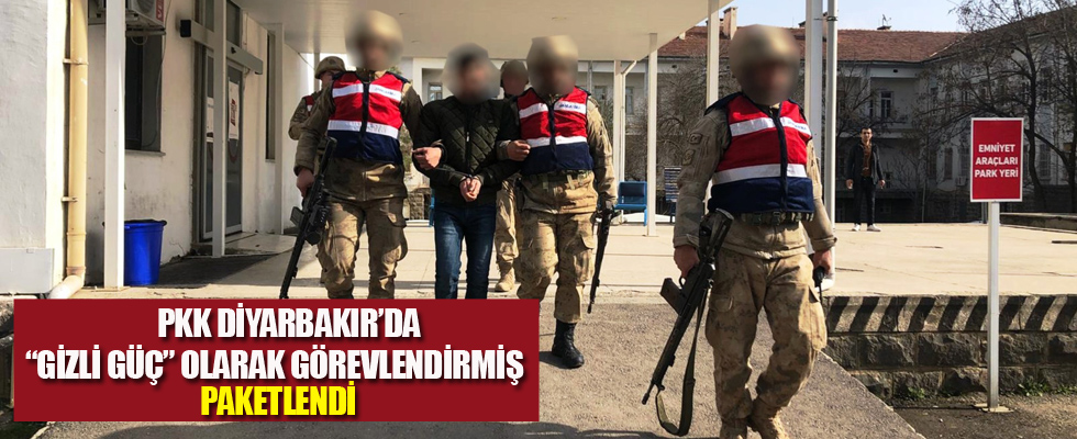 PKK'nın sözde 'Gizli Güç' olarak görevlendirdiği terörist yakalandı