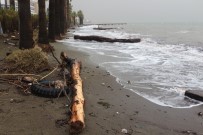 ŞİDDETLİ RÜZGAR - Şiddetli Fırtına Marmaris'te Hayatı Olumsuz Etkiledi