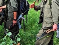 3 YPG/PKK'lı teslim oldu