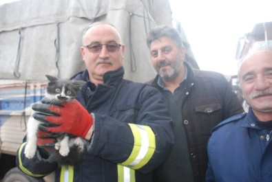 Şoförün Dikkati Sayesinde Kurtuldu