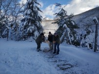 KAR ÖRTÜSÜ - Yaban Hayvanları İçin Doğaya Yem Bıraktılar