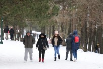 ABANT - Abant Ve Gölcük Gölleri Buzla Kaplandı