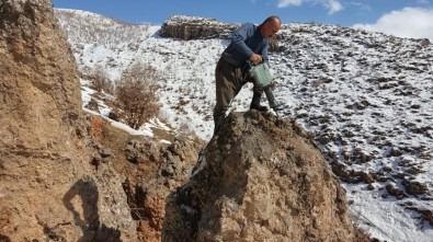 Dev Kayayı Hiltilerle Yerle Bir Ettiler