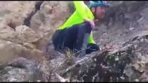 MÜCAHİT ARSLAN - Kayalıklarda Mahsur Kalan Köpek Kurtarıldı