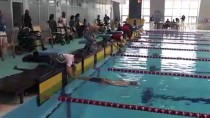 BEDENSEL ENGELLILER - Türkiye Bedensel Engelliler Yüzme Şampiyonası
