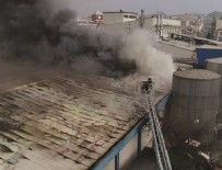 Alkollü içecek fabrikasında yangın