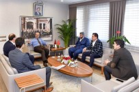 MAHMUT DEMIRTAŞ - Adana'da 300 Bin Civciv Telef Olmaktan Kurtarıldı