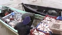 TURNA BALIĞI - Atalarının 'Mübadele'yle Öğrendiği Balıkçılık Geçim Kaynakları Oldu