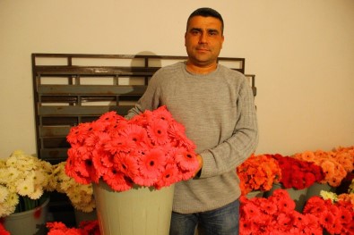 Aydın'daki Çiçek Seraları Elektrik Faturalarından Dertli