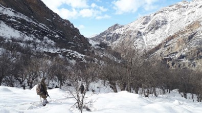 Bitlis'te Terör Örgütüne Ağır Darbe