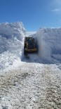 Hakkari'de Karla Mücadele Çalışması