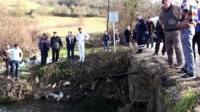 Hastaneye Giderken Kaza Yapan Sürücü Öldü