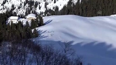 Heliski Tutkunları Kaçkarlara Hayran Kaldı