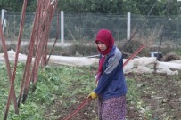 SEBZE FİYATLARI - Kumluca'da Hortum Hayalleri De Yıktı