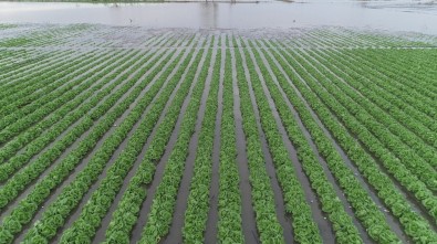 Mersin'de Şiddetli Yağış, Dolu Ve Fırtınanın Zararı 61 Milyon Lira