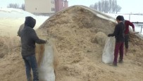 SAMAN FİYATI - Muş'ta Besicilerin Yem Bulma Telaşı