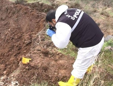 Palu Ailesi soruşturmasında bulunan kemikler, hayvan kemiği çıktı