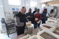 POTASYUM - TİKA'dan Mozambikli Tarım Uzmanlarına Eğitim