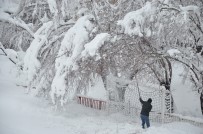 KAR KALINLIĞI - Yüksekova Kar Altında
