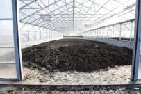 YOĞUN MESAİ - 12 Bin 872 Ton Arıtma Çamuru Bertaraf Edildi