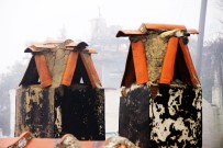 Bu Bacalar 200 Yıldır Hayat Kurtarıyor