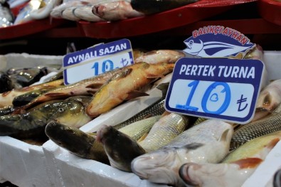 Elazığ'da Balık Bereketi, Hamsiden Bile Ucuz