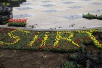 SIIRT BELEDIYESI - Siirt'te 8 Bin Ağaç 700 Bin Çiçek Ve Süs Bitkisi Dikildi