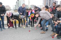 ÜST GEÇİT - Üniversiteli Elif'in Öldüğü Yere Karanfiller Bırakıldı