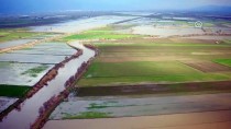 BÜYÜK MENDERES NEHRI - '25 Bin Dekar Tarım Arazisi Su Altına Kaldı'